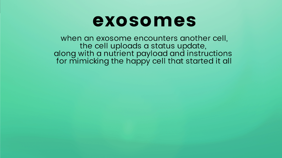 netamorphosis | Exoceuticals - Exosomes